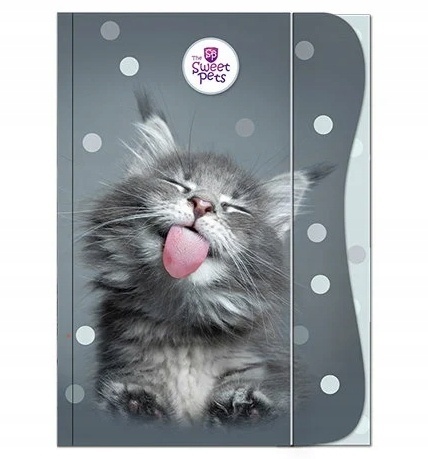 Teczka z gumką A4 na dokumenty rysunki kot kotek kociak Benjamin