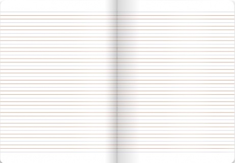 Zeszyt A4 Astra jednorożec unicorn trzy linia kolor do nauki pisania 32k