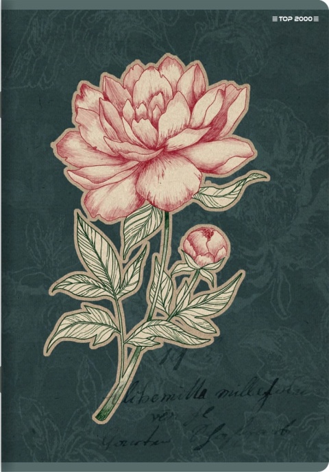 Zeszyt A4 kratka kratkę 60 kartek kwiaty flowers