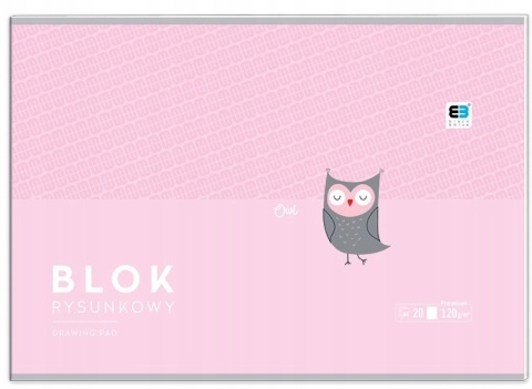 Blok rysunkowy A4 20 kartek grubsze strony 120 g/m2 biały BB KIDS INTERDRUK