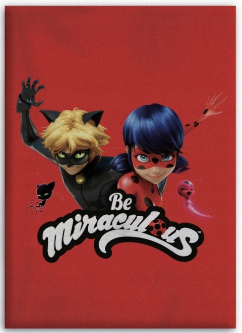 Kocyk koc polarowy BIEDRONKA I CZARNY KOT