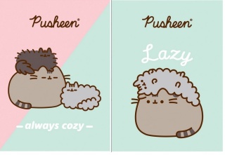 Zeszyt A4 w kratke 32 k kot kotek PUSHEEN 2 szt