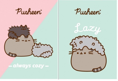 Zeszyt A4 w kratke 32 k kot kotek PUSHEEN 2 szt