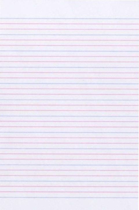 Zeszyt A5 Stitch i Andzia w trzylinie trzy linie 32 kartki LILO I STICH