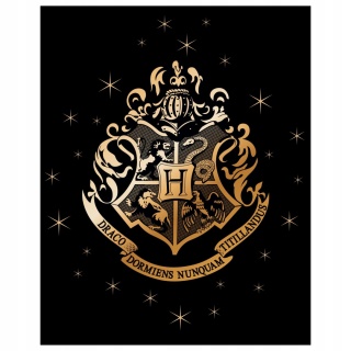 Kocyk koc polarowy coral 120x150 + poszewka 40x40cm HARRY POTTER Hogwart