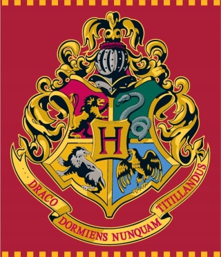 Kocyk koc polarowy coral120x150 + poszewka velvet 40x40 HARRY POTTER