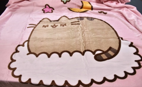 Kocyk koc welur puchaty PUSHEEN różowy na chmurce 130X160