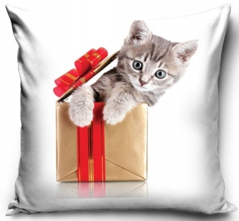 Poszewka na poduszkę 40x40 jasiek świąteczna kot kociak w prezencie biała