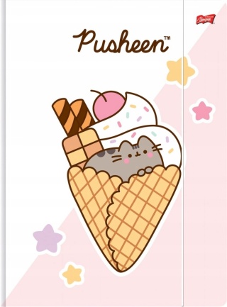 Teczka z gumką A4 na dokumenty rysunki kot kotek LODY PUSHEEN