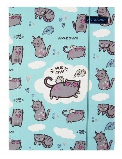 Teczka z gumką A4 na dokumenty rysunki kotki słodkie kociaki z serduszkami